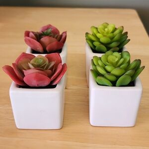 Set of 4 Succulent Artifical Planters in White Ceramic Pots